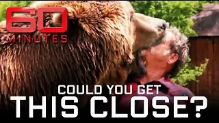 Mr Grizzly: The man who lives with bears | 60 Minutes Australia