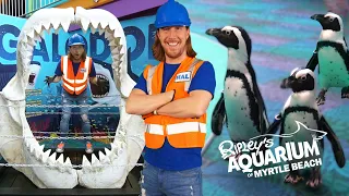 Handyman Hal explores Aquarium | Learn about Sharks and Penguins | Fun Videos for Kids