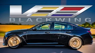 NEW DAILY? The Cadillac CT5-V Blackwing is the super sedan we don't deserve...