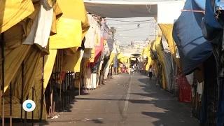 Bravo por el barrio bravo | Documento Indigo