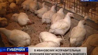 В ИВАНОВСКИХ ИСПРАВИТЕЛЬНЫХ КОЛОНИЯХ НАУЧИЛИСЬ ДЕЛАТЬ МАЙОНЕЗ