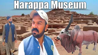 6000 years bc Harappa civilisation |Indus Valley Civilisation|amazing facts about Harappa