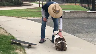 Teaching Bailey the Bulldog Puppy How to Skateboard