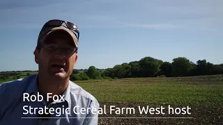 Introduction to the catch crop trial at Strategic Cereal Farm West