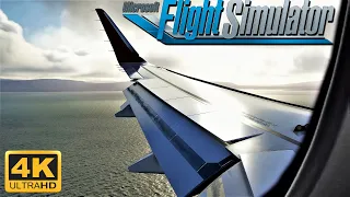 Microsoft Flight Simulator 2020  *4K EXTREME REALISM* STUNNING LANDING In Argentina | 4K Graphics