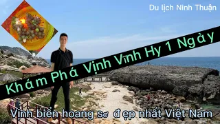 Du Lịch Ninh Thuận: Khám Phá Vịnh Vĩnh Hy | Tour Hang Rái Vườn Nho 1 Ngày | Cẩm Nang Du Lịch