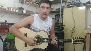 viola Maicon marco Luthier