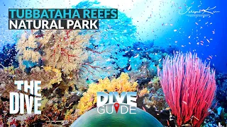 Virtual Diving sa Tubbataha Reefs Natural Park | Dive Guide #TheDivePh