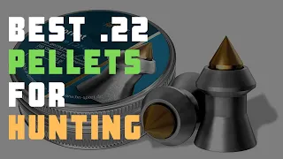 5 Best .22 Pellets For Hunting | Check Best .22 Pellets Reviews Today
