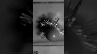 Glass Breaking Filmed at 10 Million Frames per Second