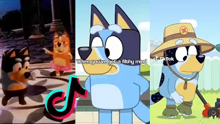 Bluey TikToks Compilation 2023 #79