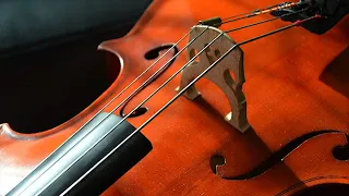 Pirates of the Caribbean (prague cello quartet)