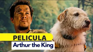 Película ARTHUR THE KING con Mark Wahlberg (Sub-Títulos Español)