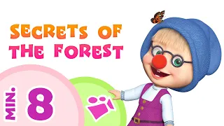 TaDaBoom English 🌲✨ SECRETS OF THE FOREST ✨🌲 Song collection for kids 🎤 Masha and the Bear 🎶