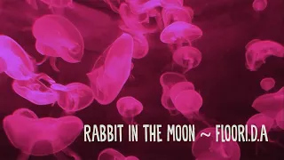 Rabbit In The Moon - FLooRI.D.A (Lunasol's Piano Solo)