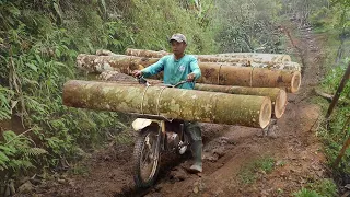 Extremely Dangerous Way They Transport Tons of Logs in Mountain