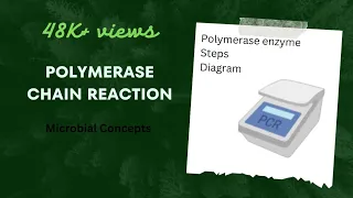 PCR #POLYMERASE CHAIN REACTION # what is PCR ? #steps in PCR