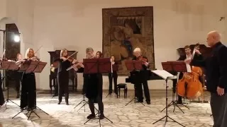 W. A. Mozart - flute concerto in g major, I movement