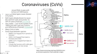 Dr. Michael Lin: "Coronavirus and COVID-19: The Basic Biology Behind the Epidemic"