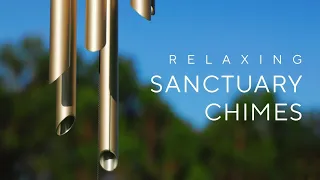 Unwind and De-Stress with the Soothing Sounds of Sanctuary Chimes in a Peaceful Forest