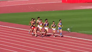 2019日本インカレ陸上 男子800m 決勝