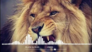 Alex rus ДИКАЯ львица full song