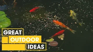 How to Transform Your Pool Into a Pond | Outdoor | Great Home Ideas