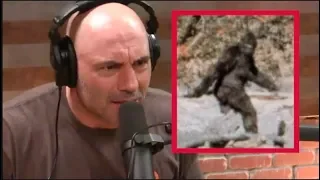 Joe Rogan - I Was Convinced Bigfoot Was Real!