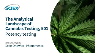 Revealing the Analytical Power of LC-MS/MS in Cannabis Potency Testing