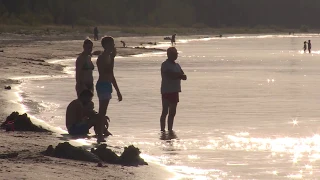 Сине-зеленые водоросли атакуют водоемы Латвии