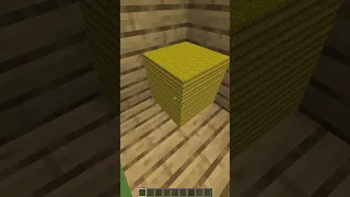 Illusion in Minecraft 😯