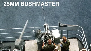 Were the Battleships Outfitted With 25mm Bushmasters?