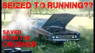 Rescued Galaxie First Start Attempt in 30 Years!!