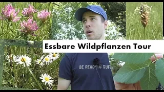 Essbare Wildpflanzen Tour - welche Pflanzen kann man essen? Notnahrung aus der Natur (4K)