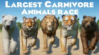 Largest Carnivore on Earth Animals Speed Races in Planet Zoo includes Bengal Tiger, Polar Bear etc