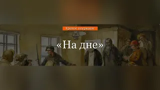 Краткое содержание - На дне