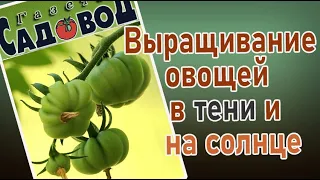 Выращивание овощей в тени и на солнце