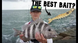 How to catch tons of Sheepshead at the Jetties (Port Aransas Jetty fishing)