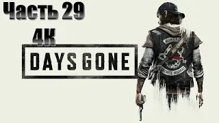 Days Gone Часть 29 Страх Смерти (МАКСИМАЛЬНАЯ СЛОЖНОСТЬ)