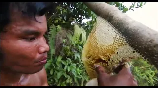 Million Dollars Skill! Brave Millionaire Harvesting Honey Beehive by Hands #fyp #food #foodie 🙈😂