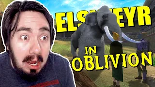 I Went To Elsweyr In Oblivion