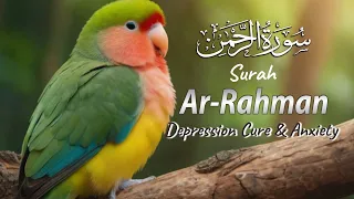 Best Voice Recitation | Depression Cure & Anxiety | Surah Ar-Rahman  سورة الرحمن |  |Zampfai Quran