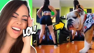 People Dying Inside THICCC Compilation - Try Not To Laugh Reaction!!! #3