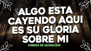 ESTA CAYENDO SU GLORIA SOBRE MI - ALABANZAS DE ADORACION - HIMNOS CRISTIANOS - COROS CRISTIANOS 2024