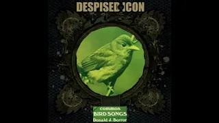 Despised Bird Songs - The Ills Of Modern Common Man (FULL ALBUM)