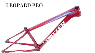 2019 newest TWITTER carbon fibre mountain bike frame LEOPARD PRO