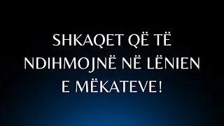 Shkaqet që të ndihmojnë në lënien e mëkateve! - Shejh Ubejd elXhabiri