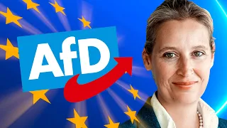 AfD Europawahlprogramm einfach erklärt | 2024