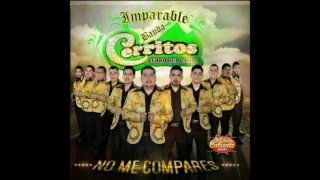 IMPARABLE BANDA CERRITOS - VESTIDO DE BESOS PRODUCCIÓN 2017