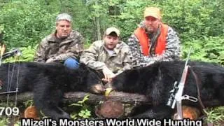 Bear Hunting Guide Ontario, Canada Black Bear Hunt